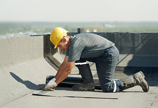 Best Specialized Insulation Services in Cedarburg, WI